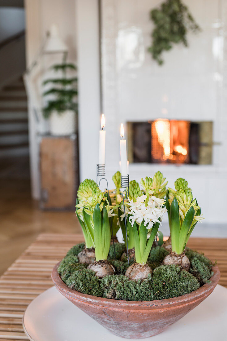 Schale mit Moos, weißen Hyazinten und Kerzen im Wohnzimmer