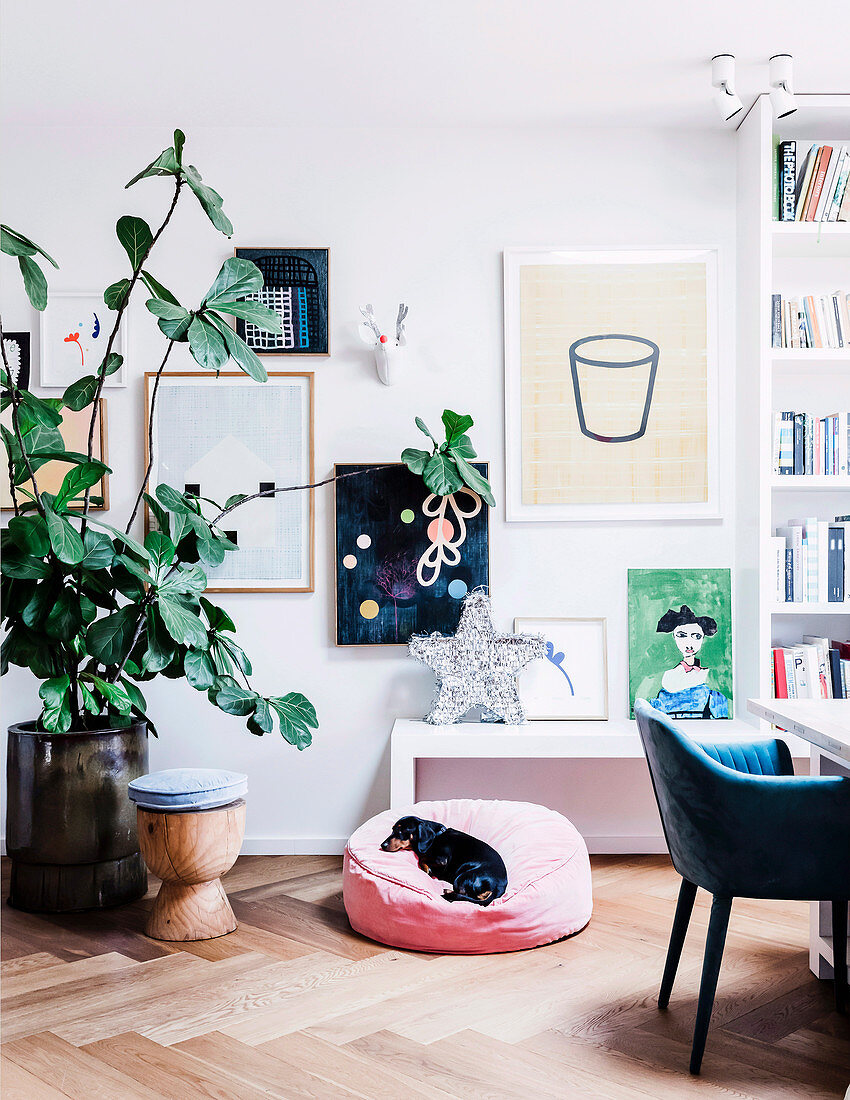 Große Zimmerpflanze vor Wand mit Bildern, Ablage mit Sterndeko und Hund auf Kissen im Wohnzimmer