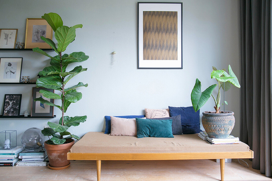 Retro couch next to fiddle leaf fig and gallery of pictures on picture ledges
