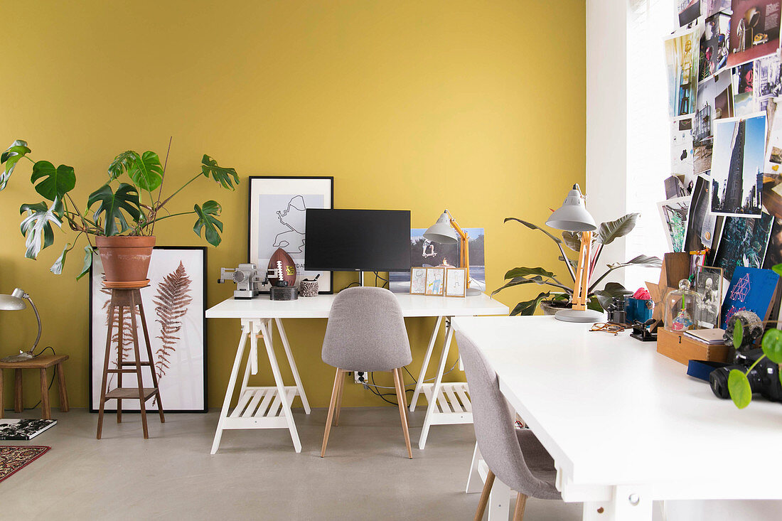 Zwei Schreibtische auf Möbelböcken an gelber Wand