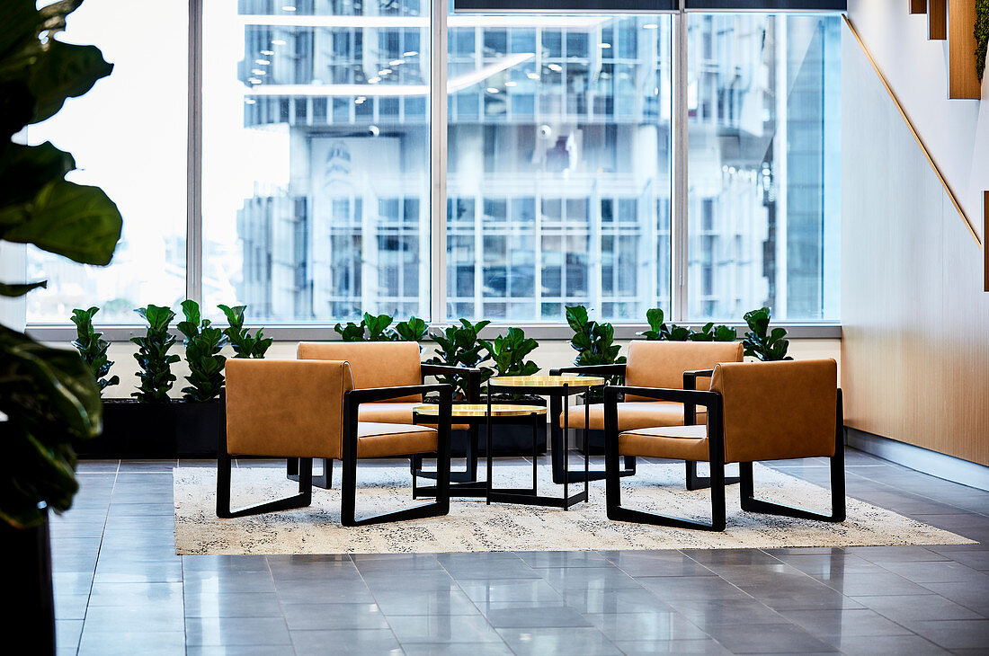 Elegant leather chairs, table and house plants in lobby with glass wall