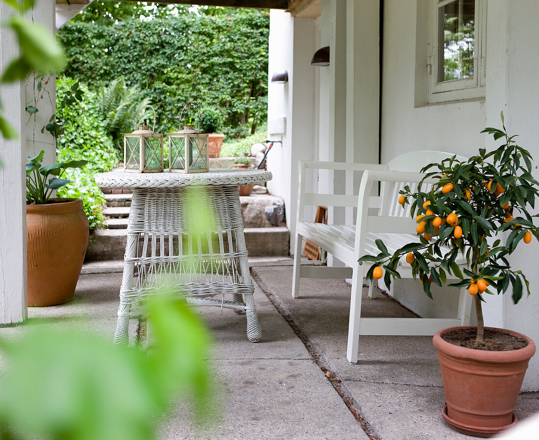 Orangenbäumchen und weiße Outdoormöbel auf Veranda