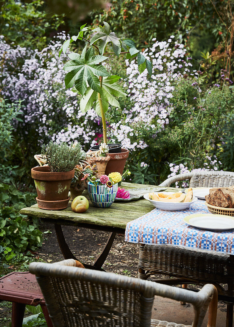 Schlicht gedeckter Tisch im naturnahen Garten