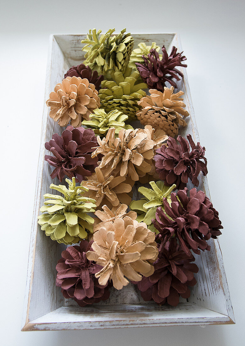 Pine cones painted brown, beige and pale green on wooden tray