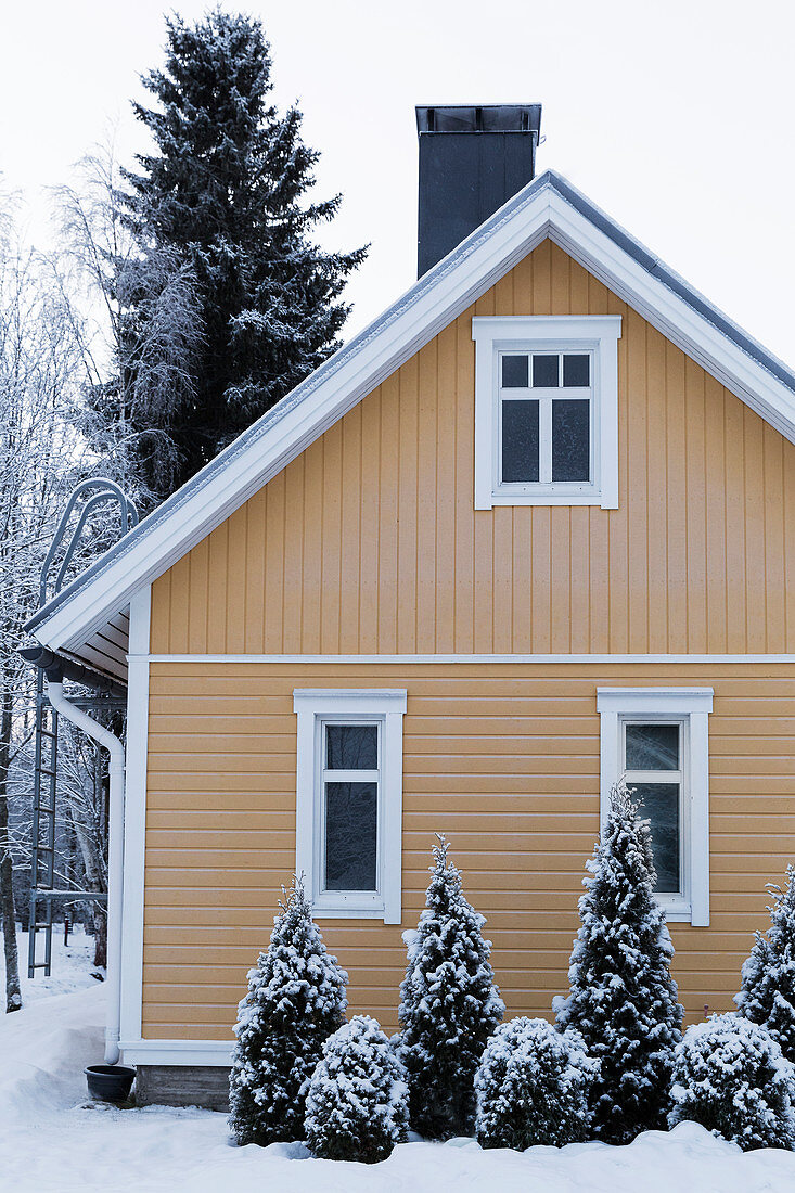 Gelbes Holzhaus mit schneebedektem Garten