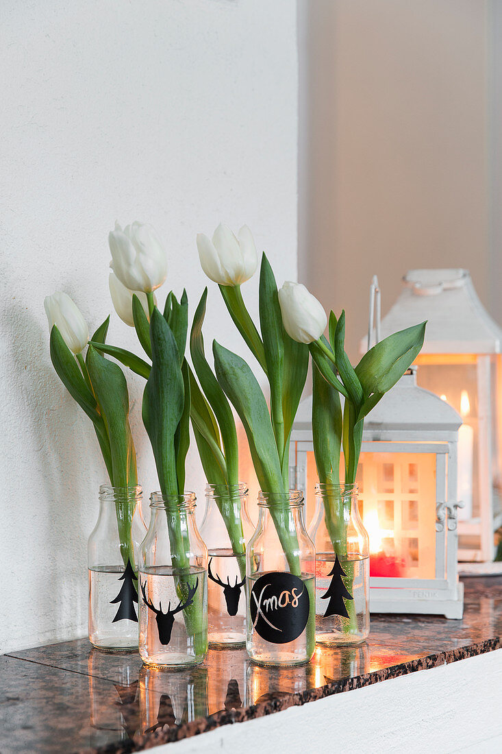 White tulips in bottles with Christmas decorations