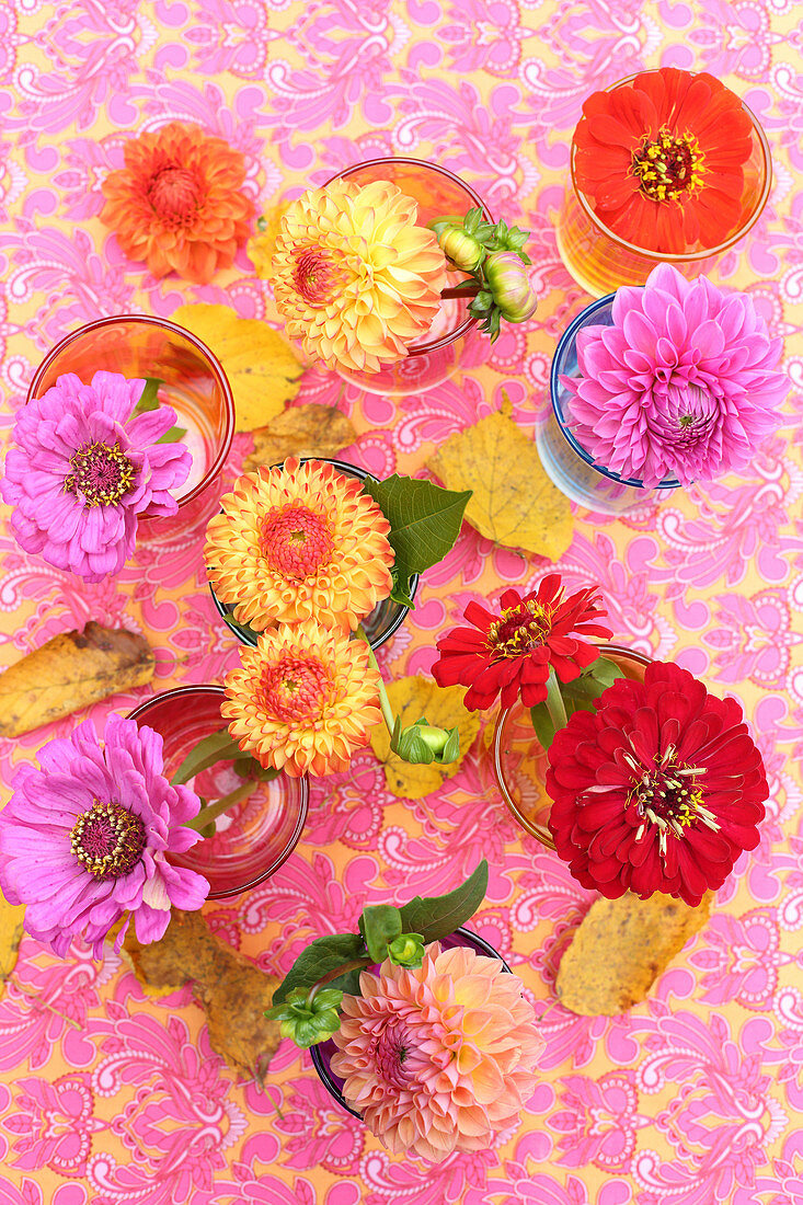 Bunte Tischdeko mit Herbstblumen in Pink, Rot und Orange