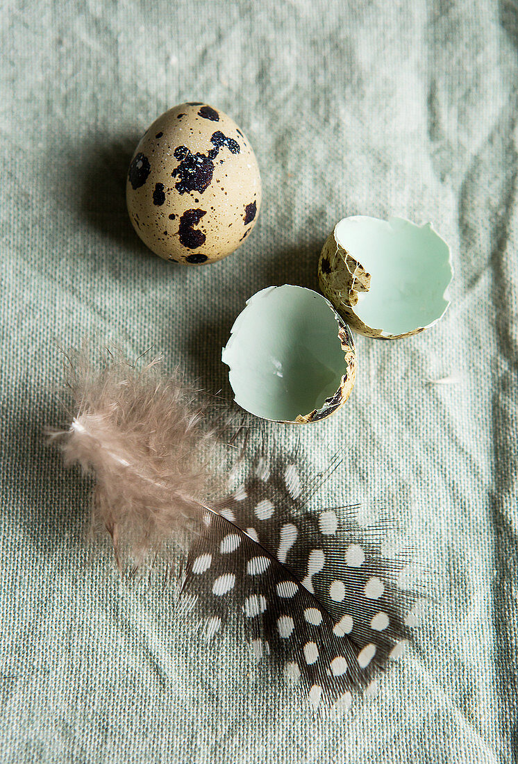 Quail egg, broken shell and feather on duck-egg green linen