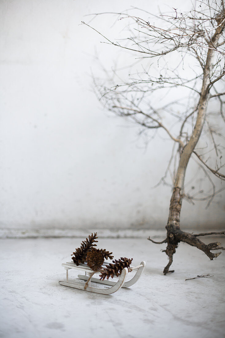 Pine cones on miniature sledge in front of tiny leafless tree