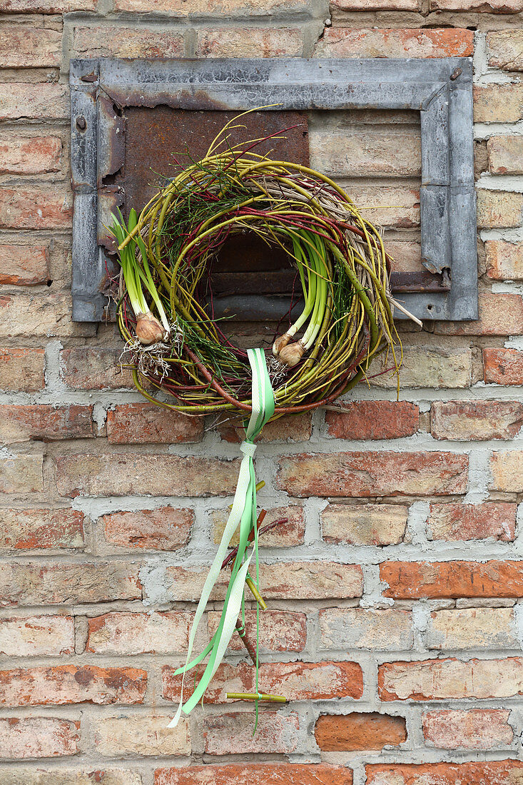 Wreath of twigs decorated with forced bulbs