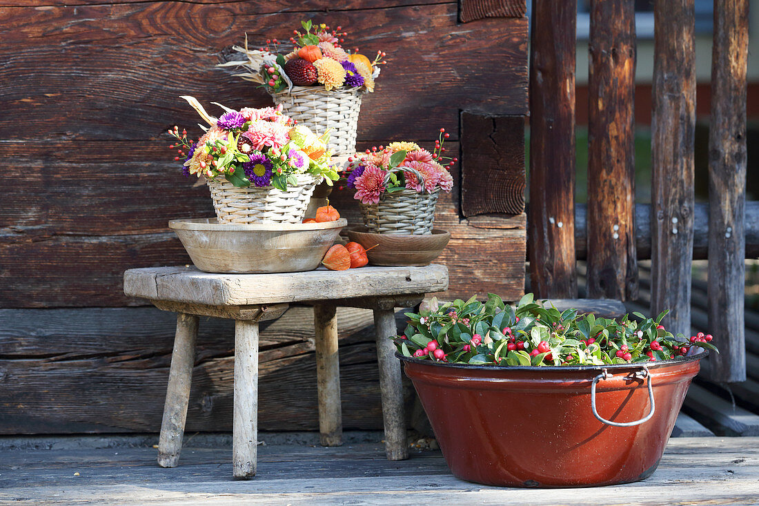 Autumn bouquets in baskets and Gaultheria in tub
