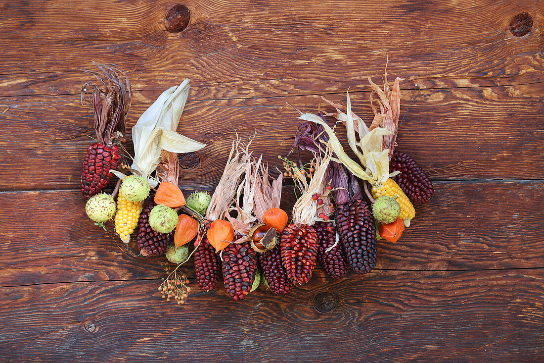 Garland of multicoloured corncobs, chestnuts and physalis
