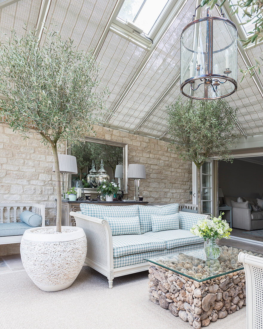 Olivenbäume im mediterranen Wohnzimmer mit Glasdach