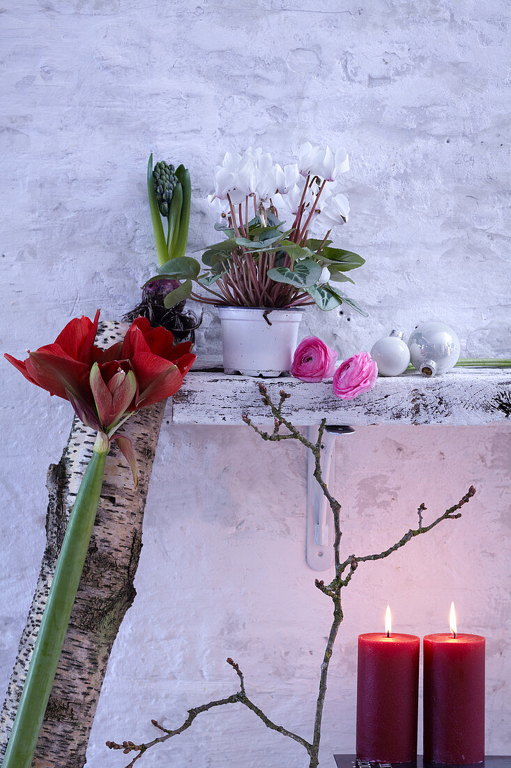 Winterliche Zimmerdeko mit Blumen, Birkenstamm und Kerzen