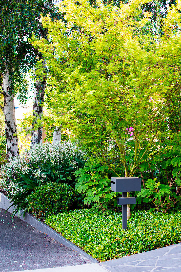 Dunkelgrauer Briefkasten im Vorgarten mit üppigem Grün
