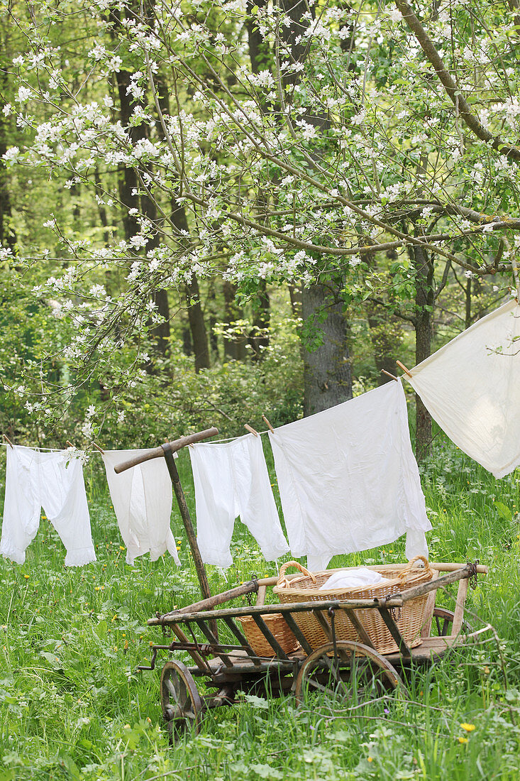 Frisch gewaschene nostalgische Wäsche auf Wäscheleine im Garten