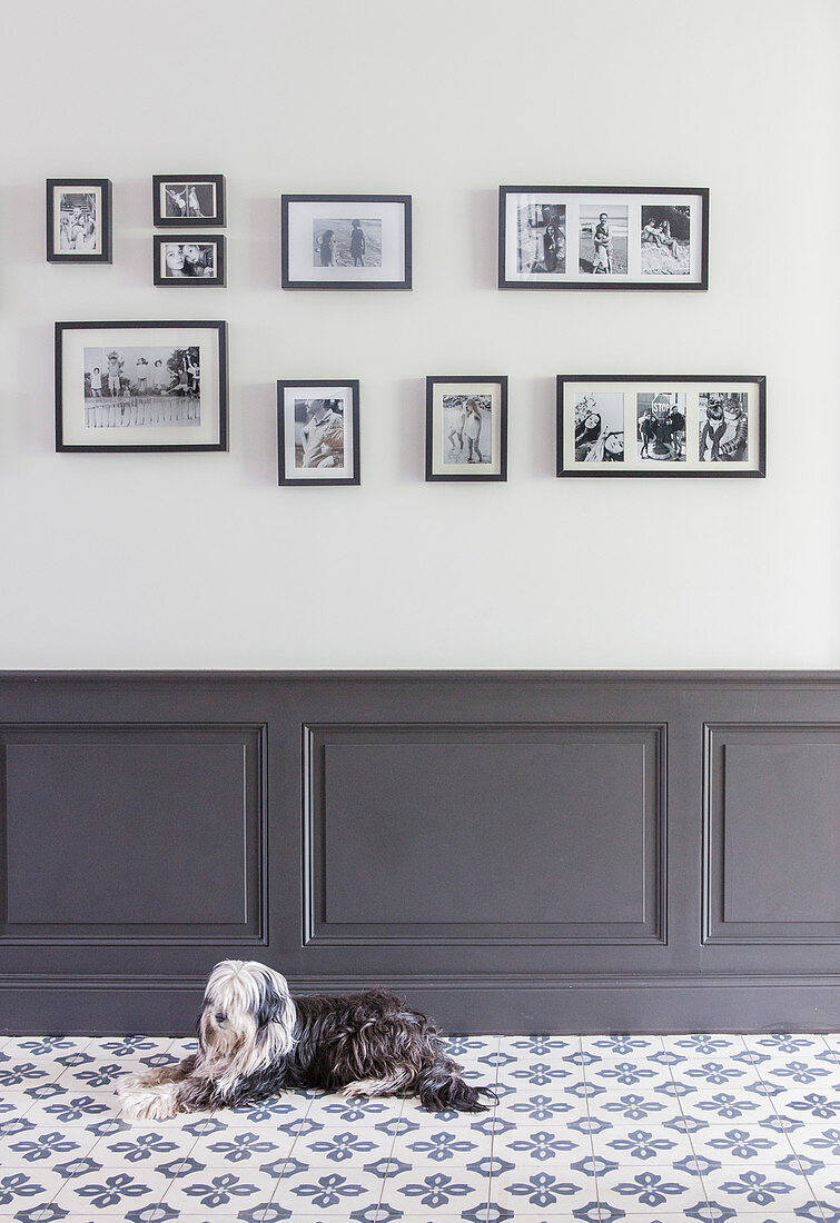 Hund auf Fliesenboden vor Sockelbereich mit Kassettenverkleidung, Fotogalerie an der Wand