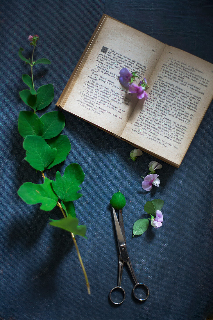 Zweig, Wickenblüten, Schere und aufgeschlagenes Buch