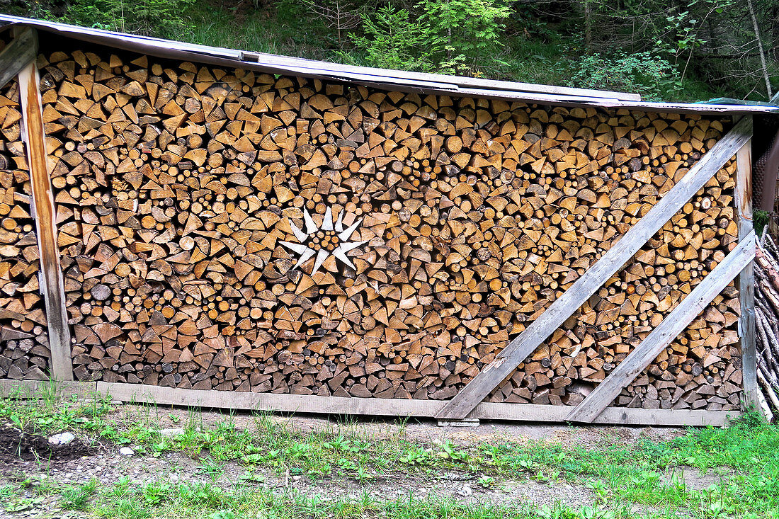 Stacked and covered firewood