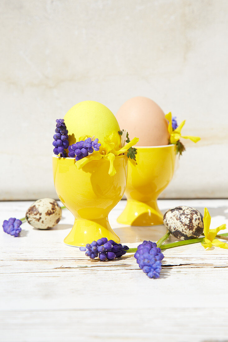 Yellow egg cups decorated for Easter with forsythia and hyacinth florets