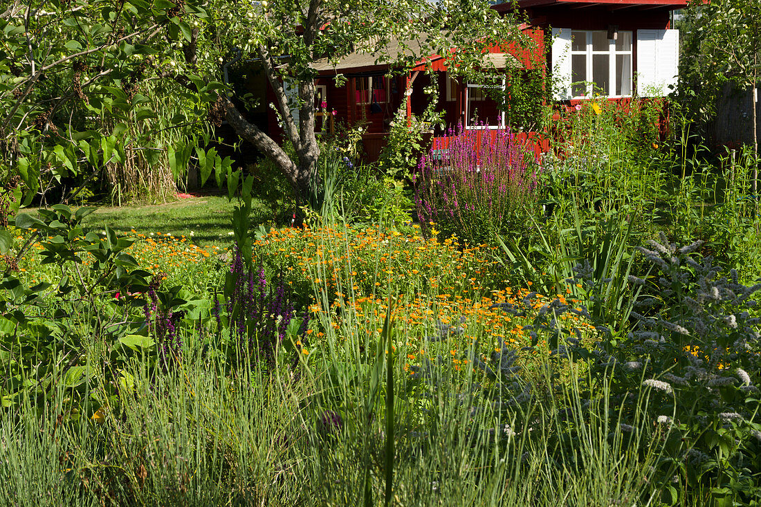 Naturgarten mit Gartenhaus