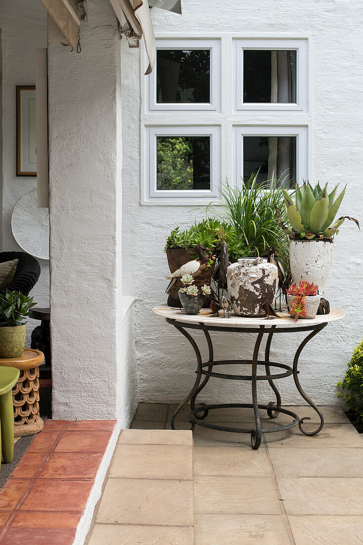 Sammlung von Sukkulenten auf rundem Tisch in geschützter Ecke vor Veranda