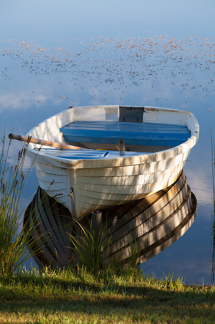 Paddle boat on the lake
