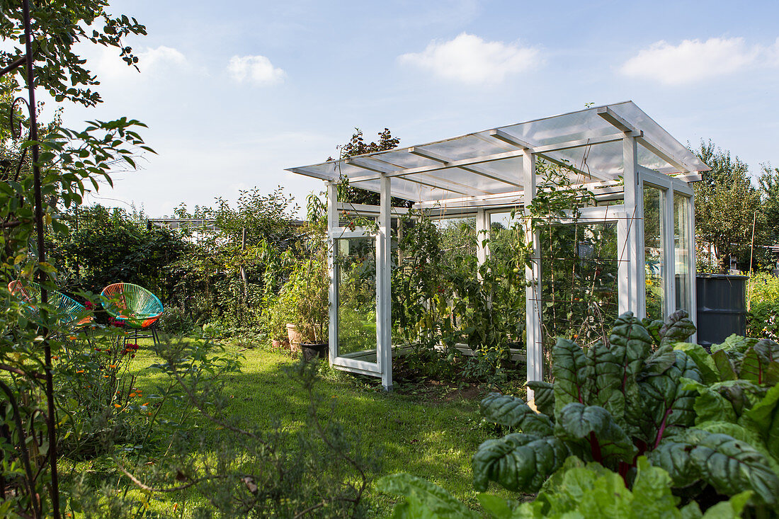 DIY greenhouse made from old windows in garden