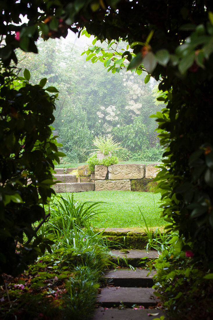 View through the hedge onto the lawn with sandstone walls