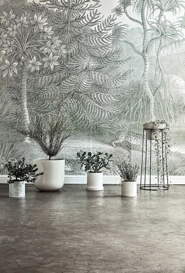 Plant pots on concrete floor, in front of wallpaper with jungle motif