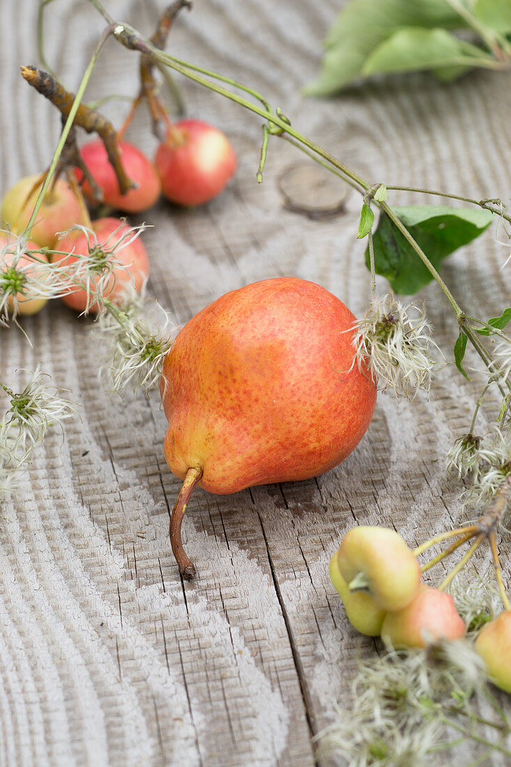 Red William's pear, crab apples and clematis seed heads