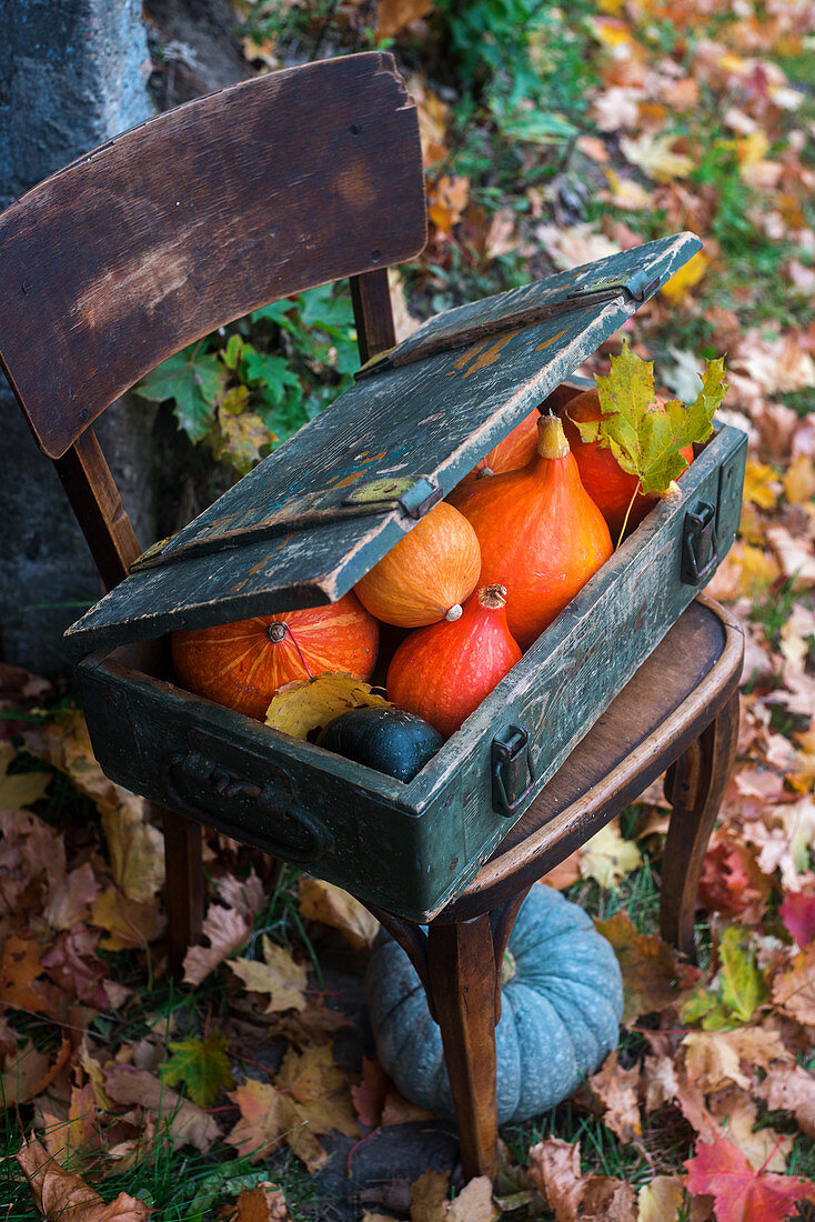 Pumpkins in a wooden box