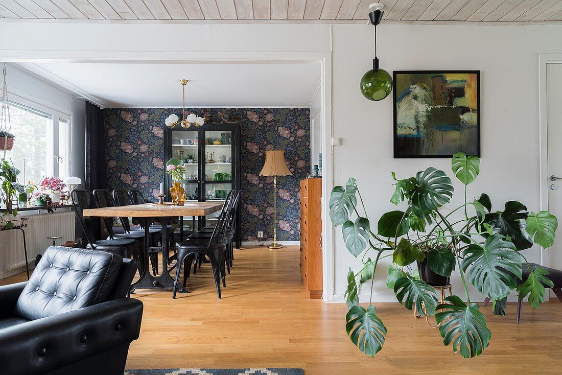Große Zimmerpflanze vor weißer Wand in offenem Wohnraum, im Hintergrund Essbereich mit Blumentapete