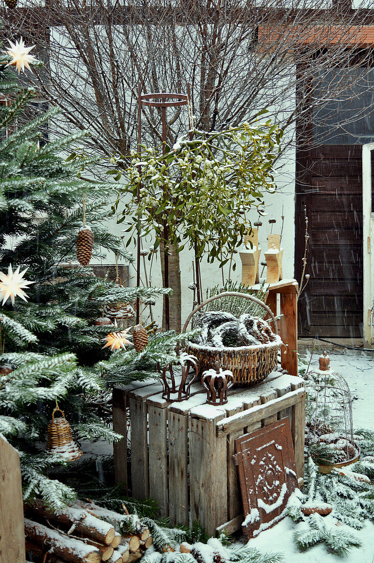 Weihnachtsdekoration mit Tannenbaum und Misteln