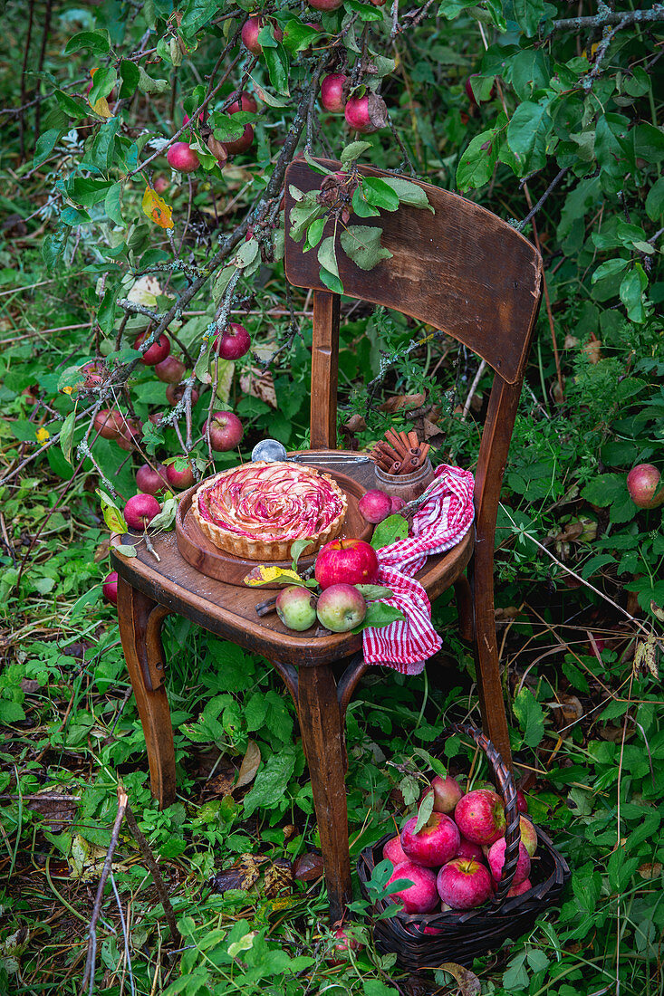Applepie mit dünnen Apfelscheiben auf Holzstuhl im Garten