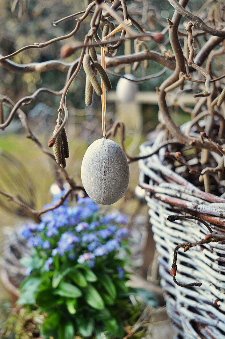 Easter Egg On Corkscrew Hazel