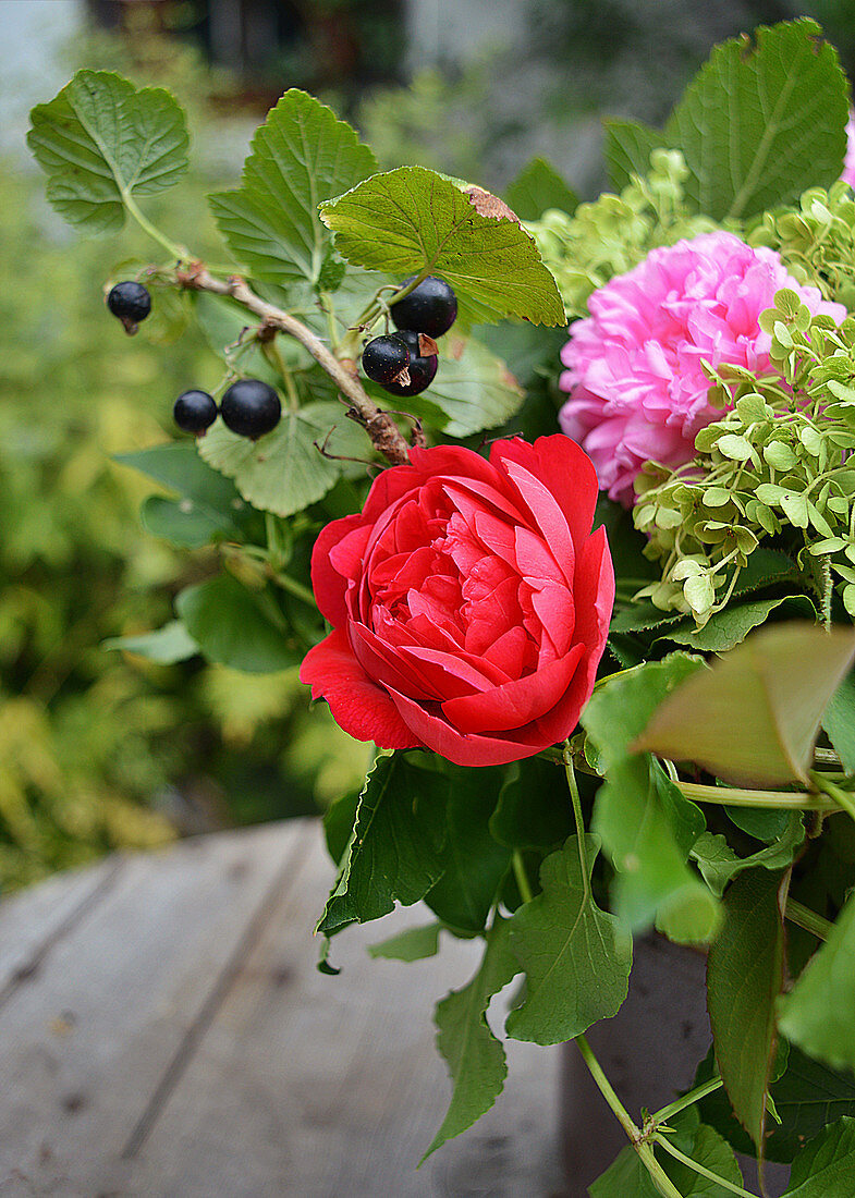 Sommerstrauß mit Rosenblüte und schwarzer Johannisbeere
