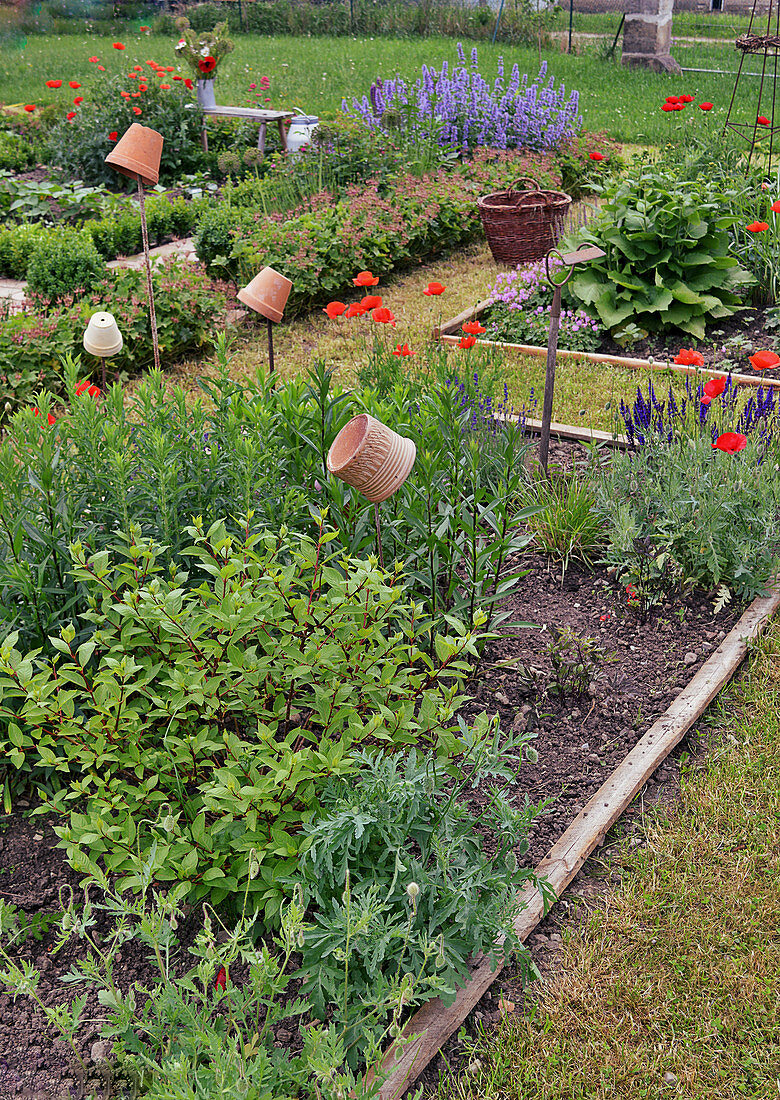 Perennial Beds With Wood Edging