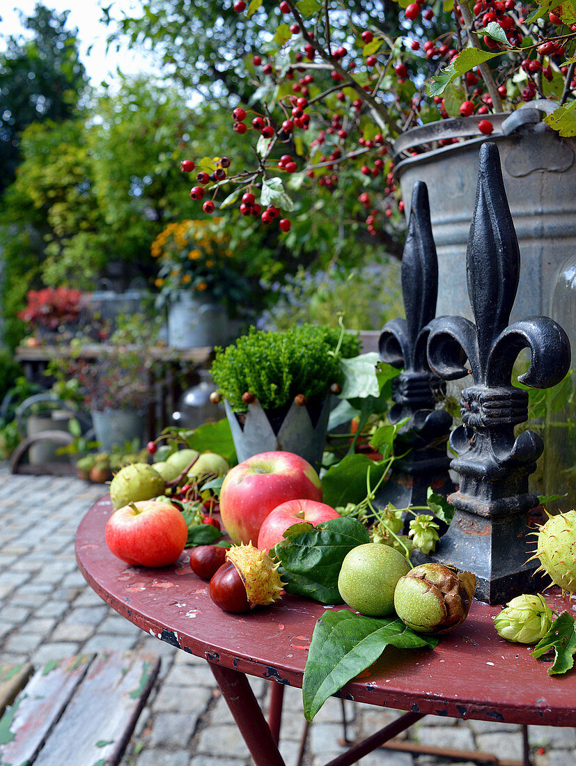 Herbst - Arrangement mit Äpfeln, Kastanien und Walnüssen