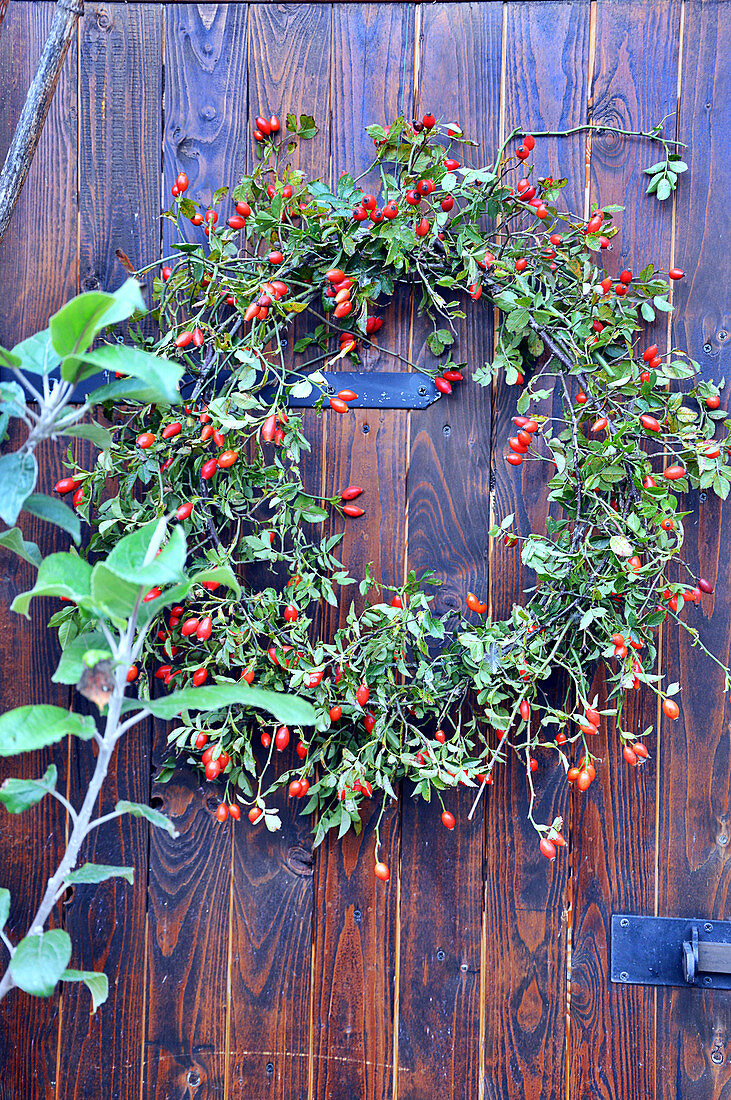 Late Summer - Door Wreath Of Branches With Rosehips
