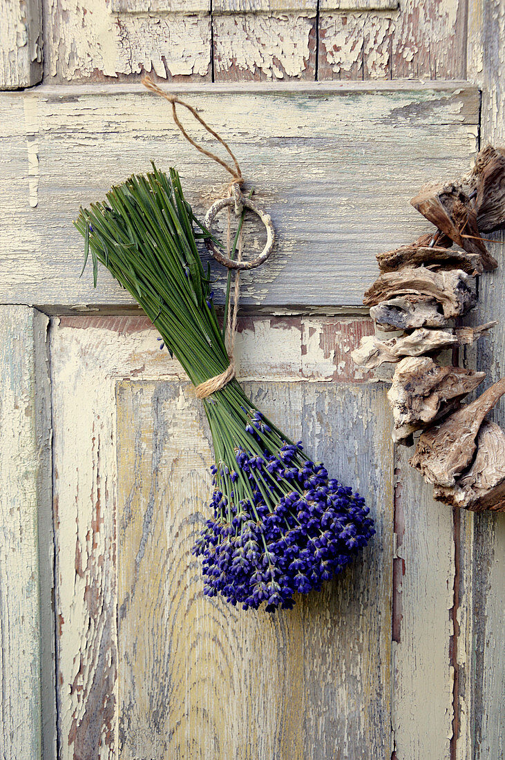 Lavendel - Strauß zum Trocknen an Türe gehängt