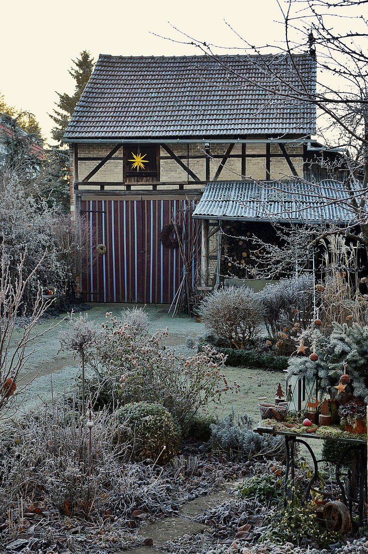 Wintry garden with barn in background