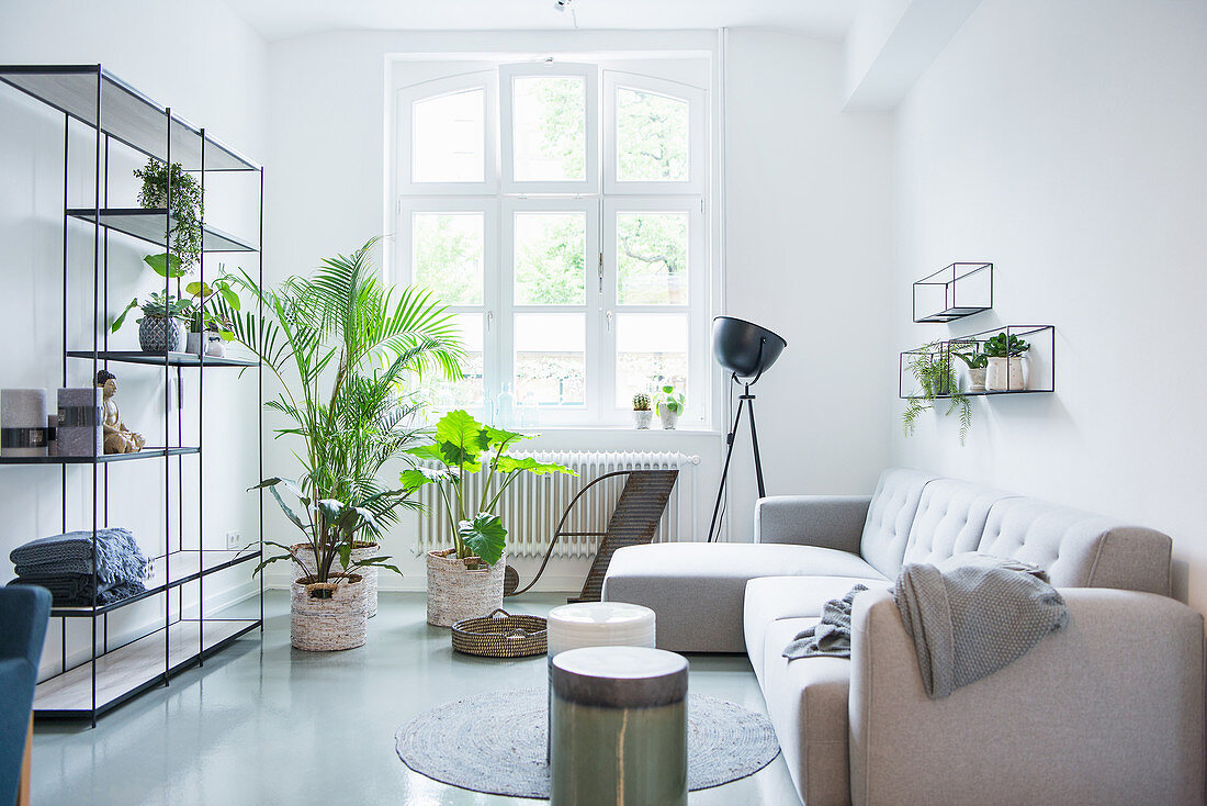 Hellgraue Sofagarnitur, Regal und Zimmerpflanzen im Wohnzimmer in Altbauwohnung