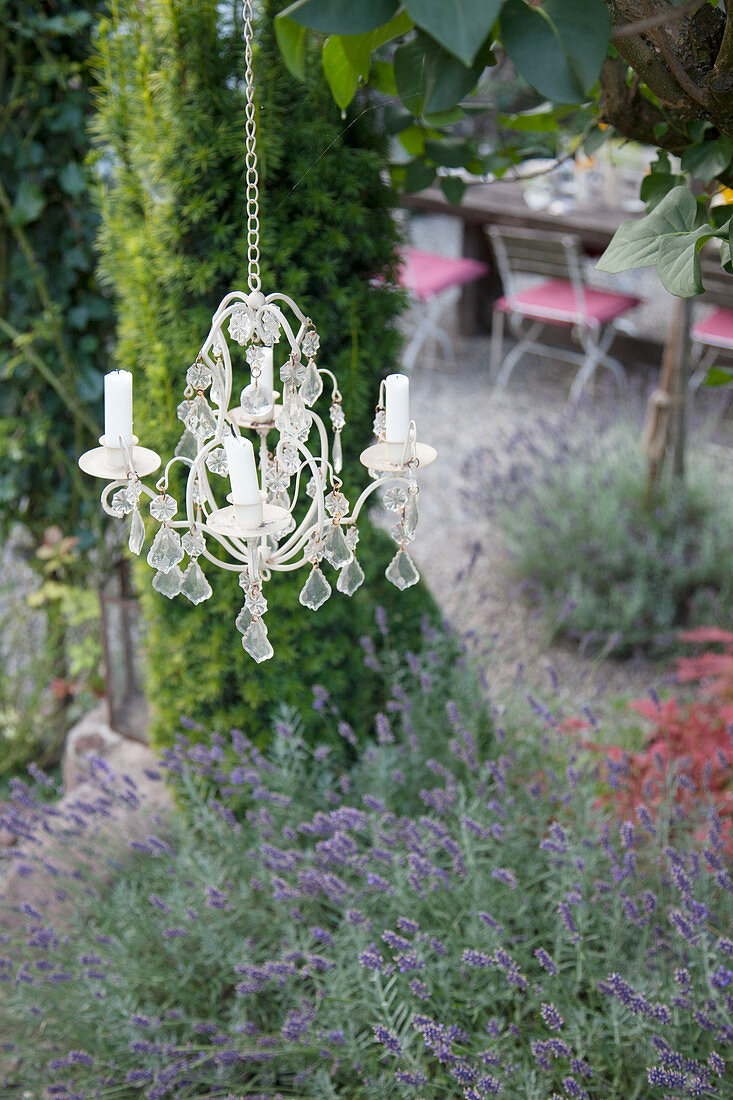 Candle chandelier above bed of lavender in garden