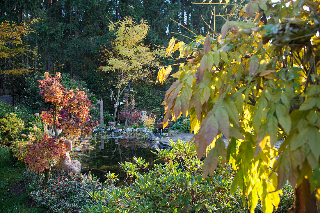Pond in autumnal garden