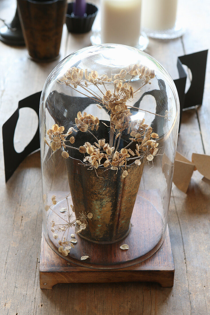 Dried flowers in beaker under glass cover