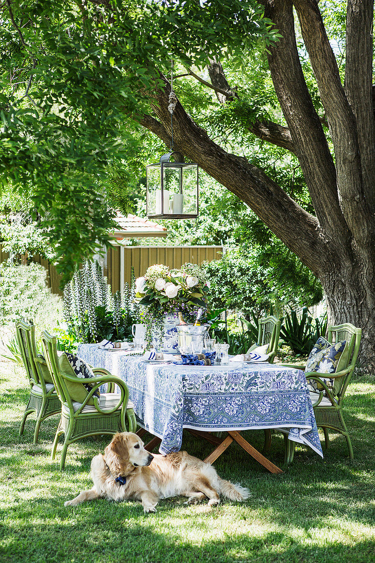 Hund liegt vor dem gedeckten Tisch mit grünen Stühlen im Garten