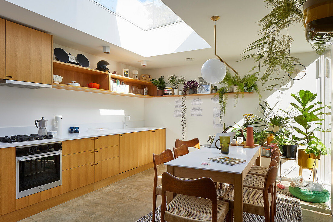 Dining table and chairs in open-plan kitchen with houseplants and skylight
