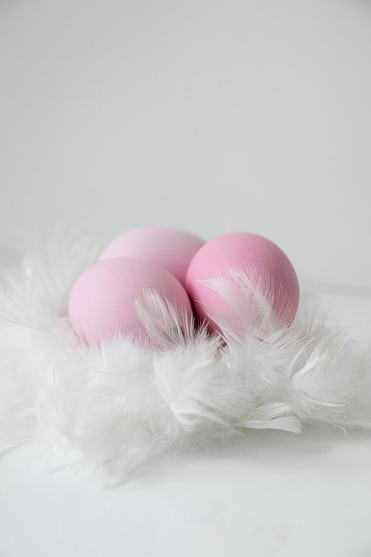 Pink Easter eggs in nest of white feathers