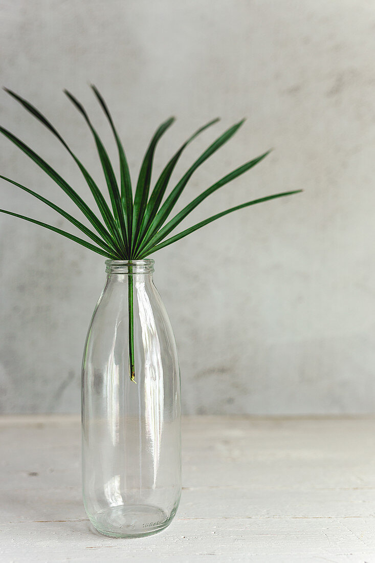 Palmenblatt in Glasflasche